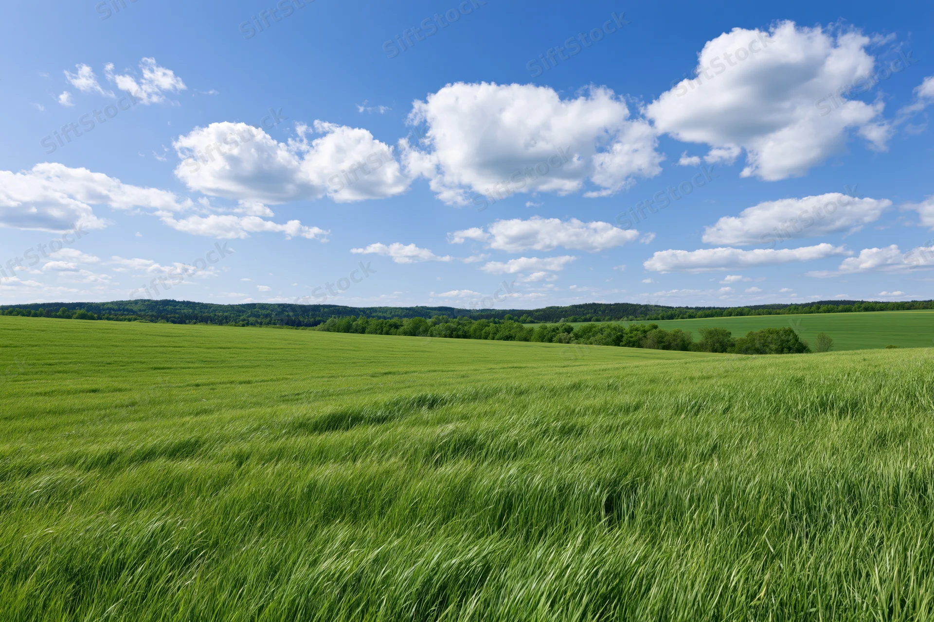 Rolling green meadow stretching toward tree-lined hills under a blue sky with scattered clouds