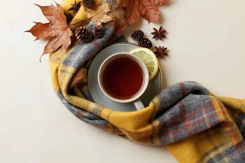 Ceramic cup of tea with lemon slice on saucer, surrounded by autumn leaves and pinecones, draped in plaid scarf on white surface