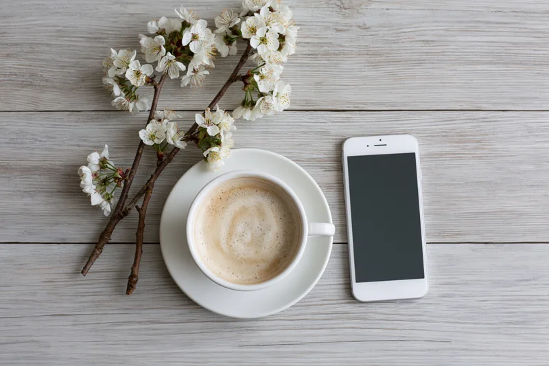 White ceramic cappuccino cup with saucer, smartphone and cherry blossom branch on gray wooden table in flat lay overhead view