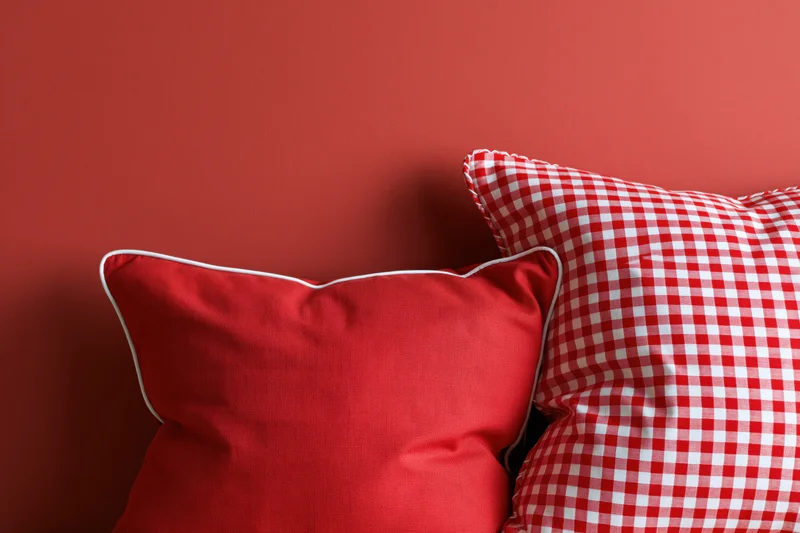 Two decorative pillows resting against a red wall