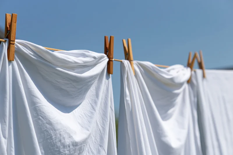 White cotton sheets hanging on an outdoor clothesline drying in sunlight