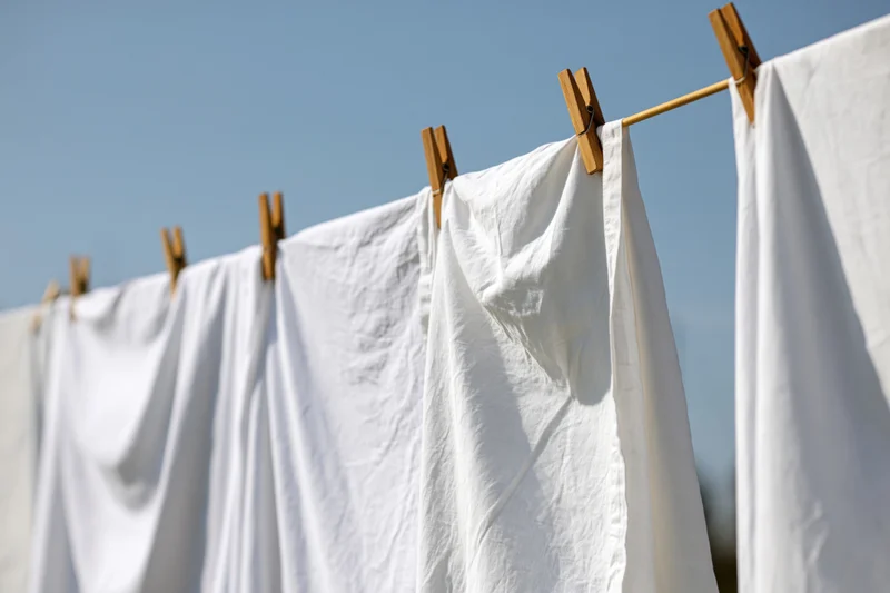 White cotton sheets hanging on an outdoor clothesline drying in sunlight