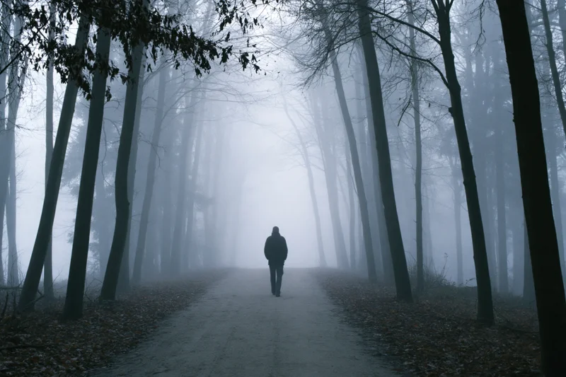 Man walking away on a narrow dirt path through a foggy forest