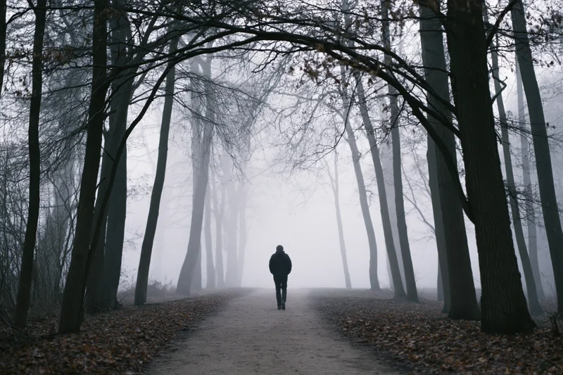Man walking away on a narrow dirt path through a foggy forest in autumn