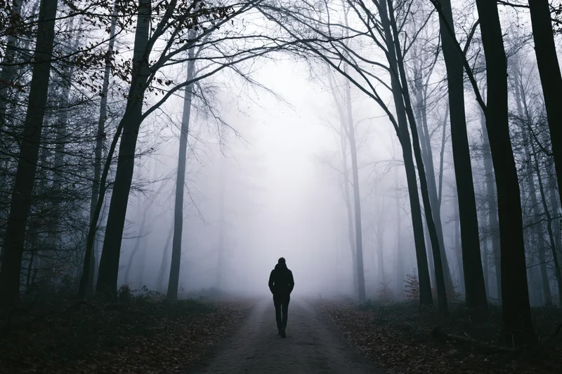 Silhouette of a person walking away on a narrow dirt path through a foggy forest