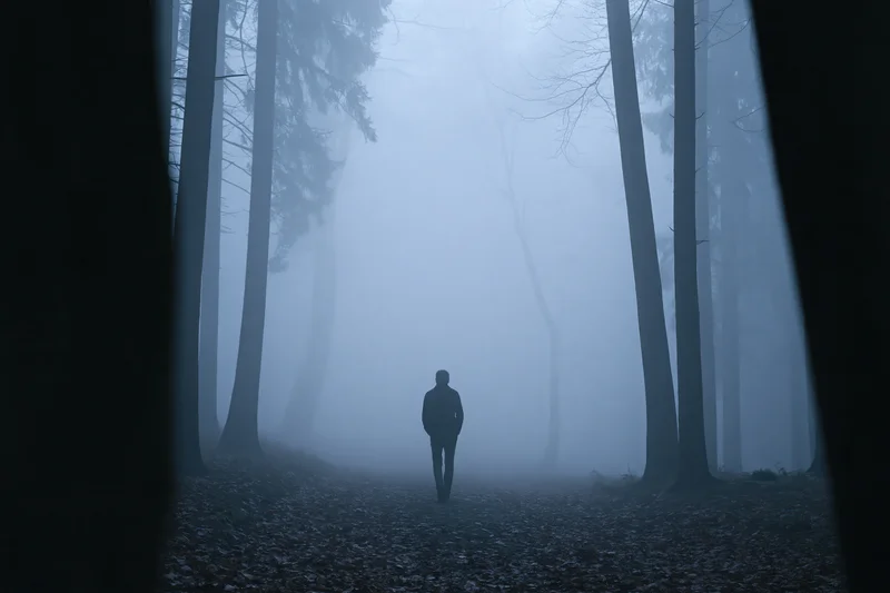 Man walking away on a foggy forest path lined with tall trees