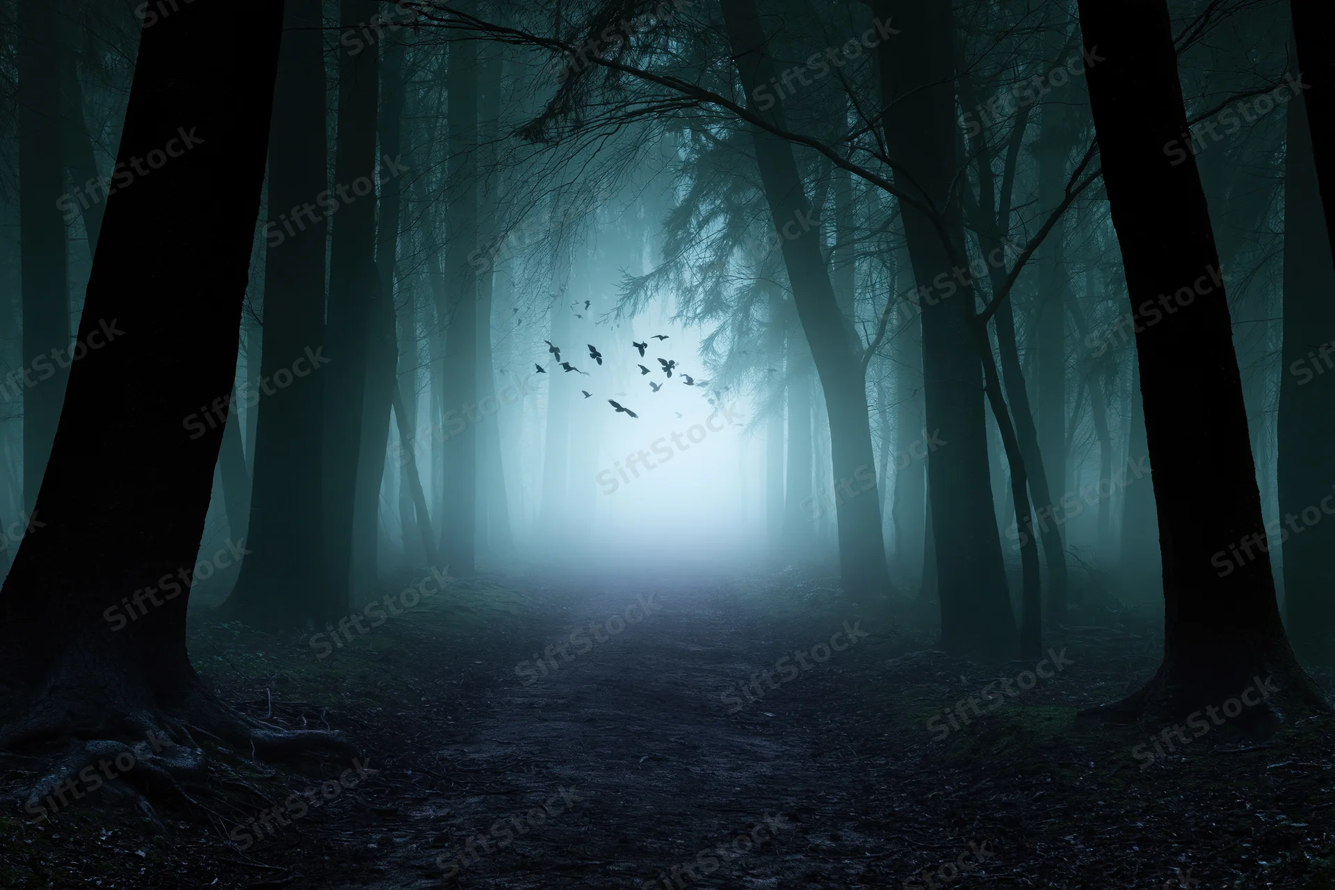 Narrow dirt path winding through dense dark forest at night with fog and flying birds in distance