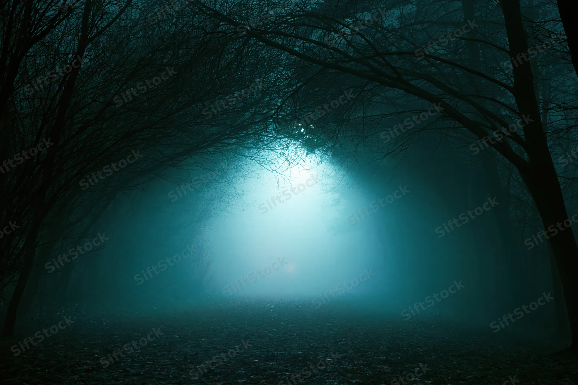Narrow forest path vanishing into dense fog at night under bare trees