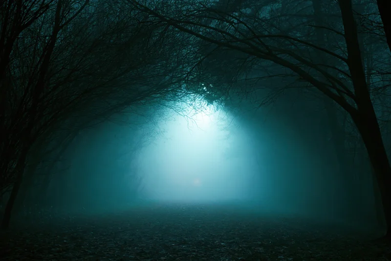 Narrow forest path vanishing into dense fog at night under bare trees