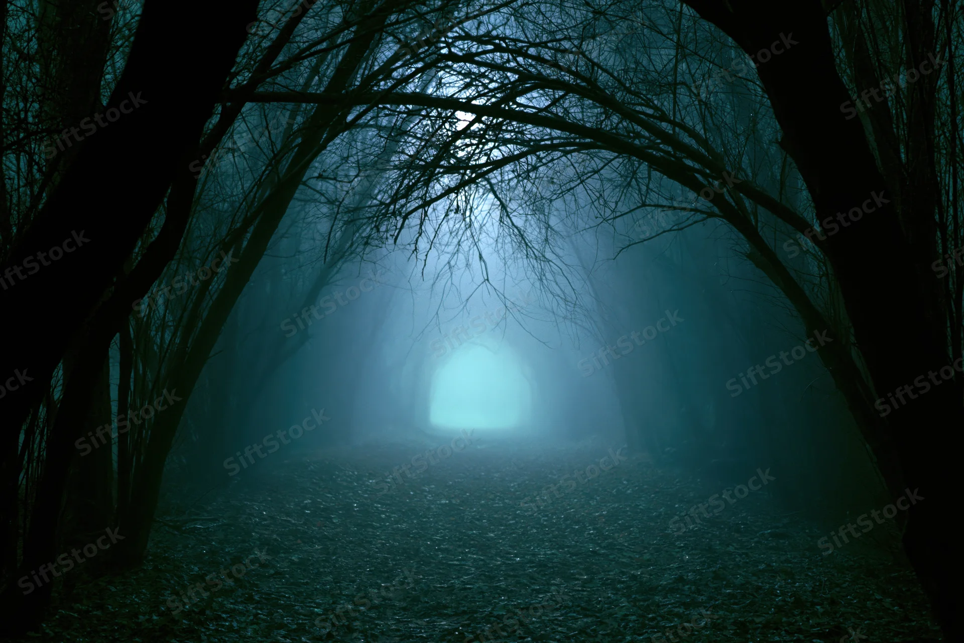 Narrow forest path vanishing into dense fog at night under bare trees