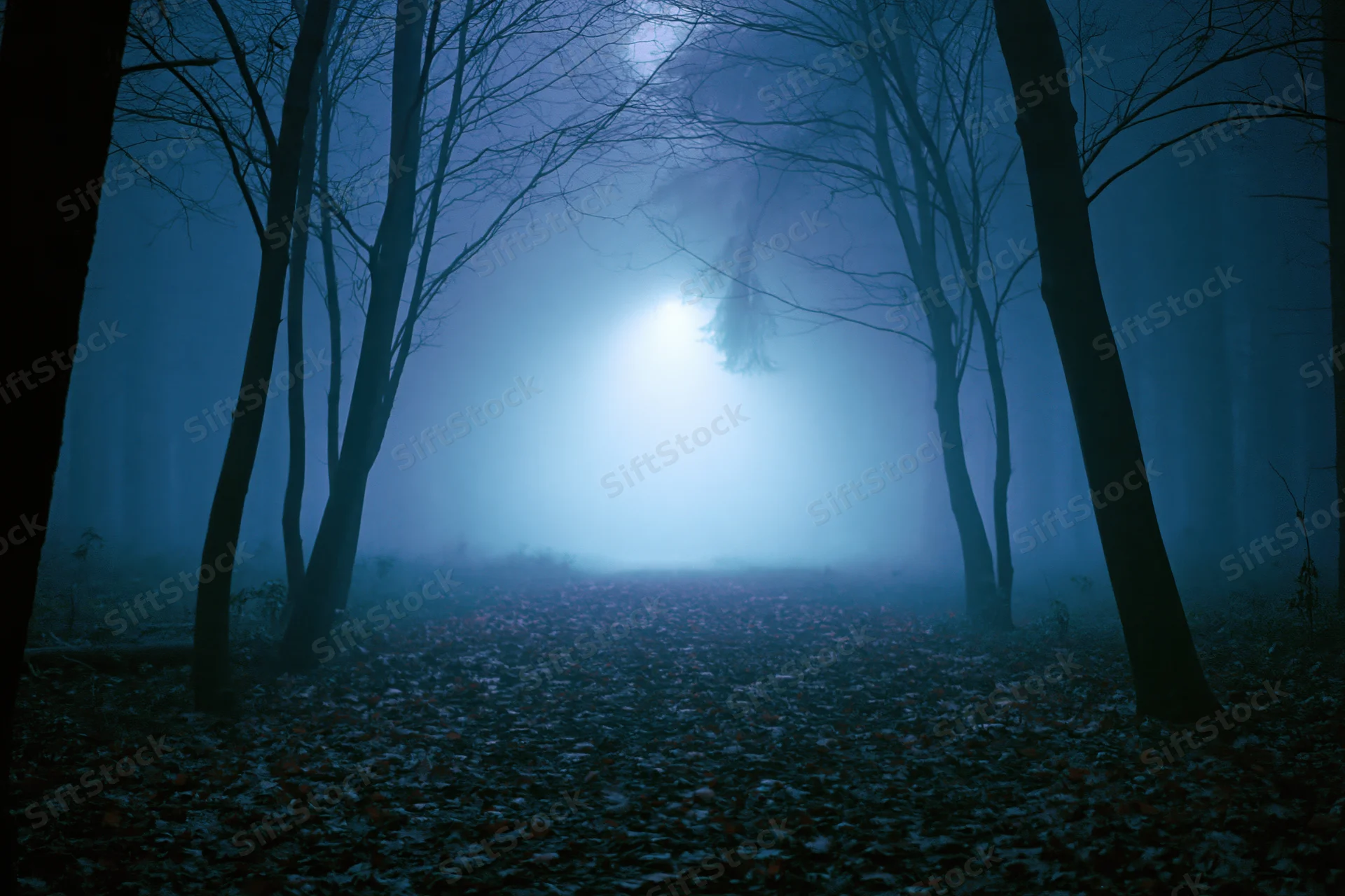 Narrow leaf-covered forest path receding into glowing mist at night