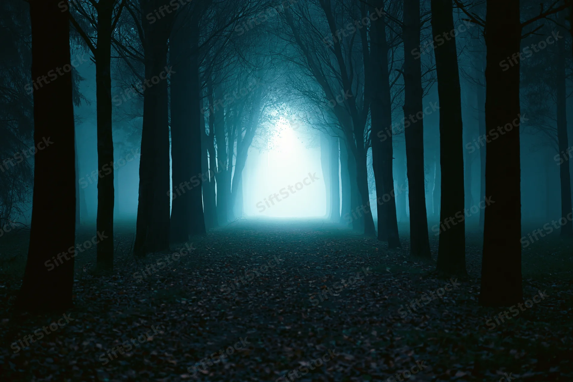 Narrow leaf-covered forest path receding into glowing light through foggy trees