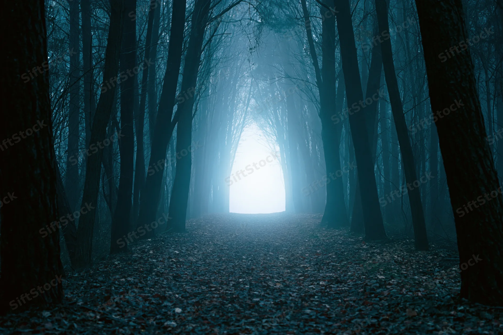 Narrow leaf-covered forest path receding into glowing light at end