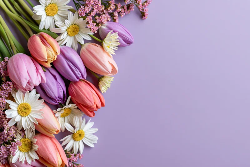 Spring flowers arranged along left edge on lavender background