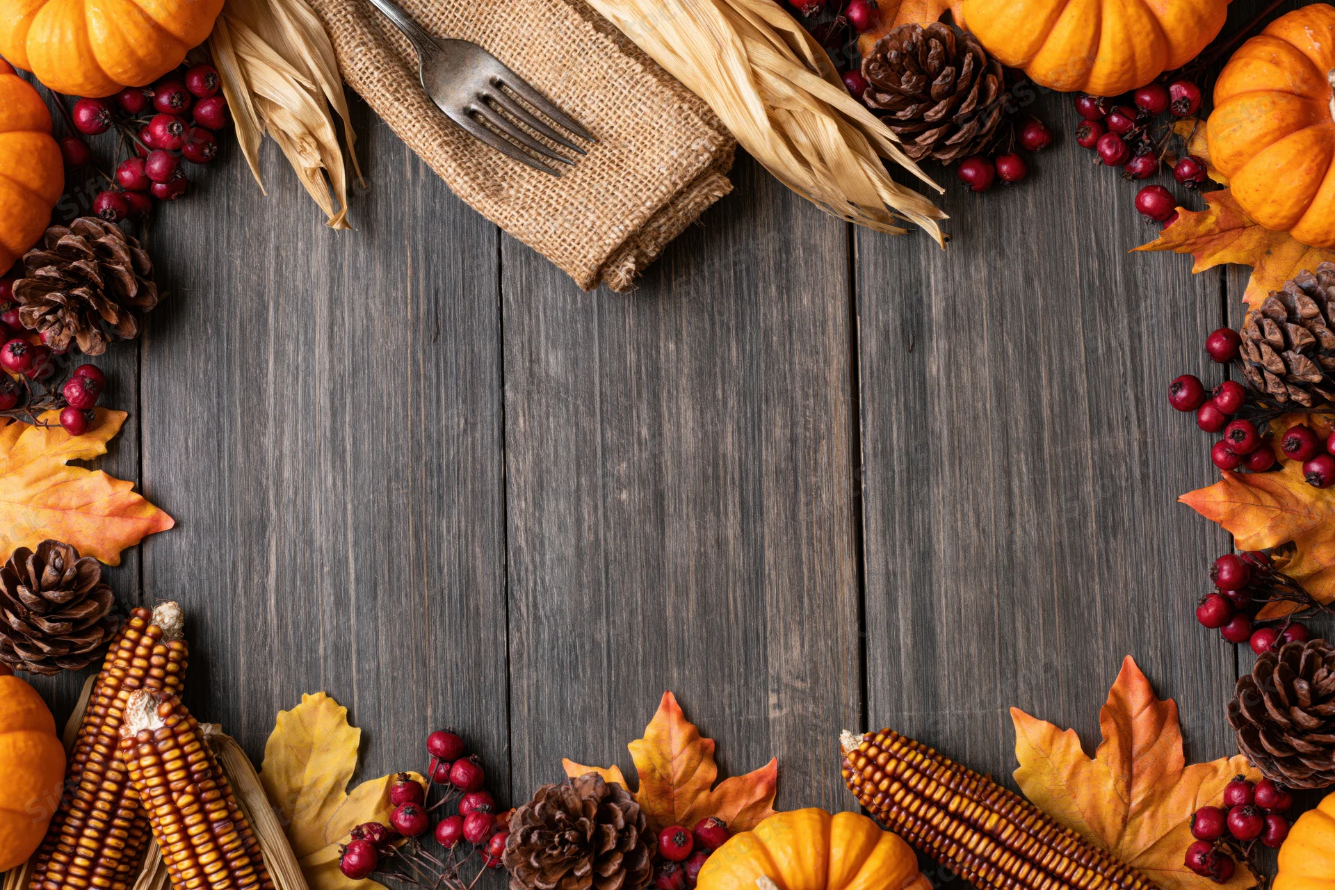 Autumn harvest flat lay arrangement with pumpkins, corn, leaves and pinecones on a dark wooden table
