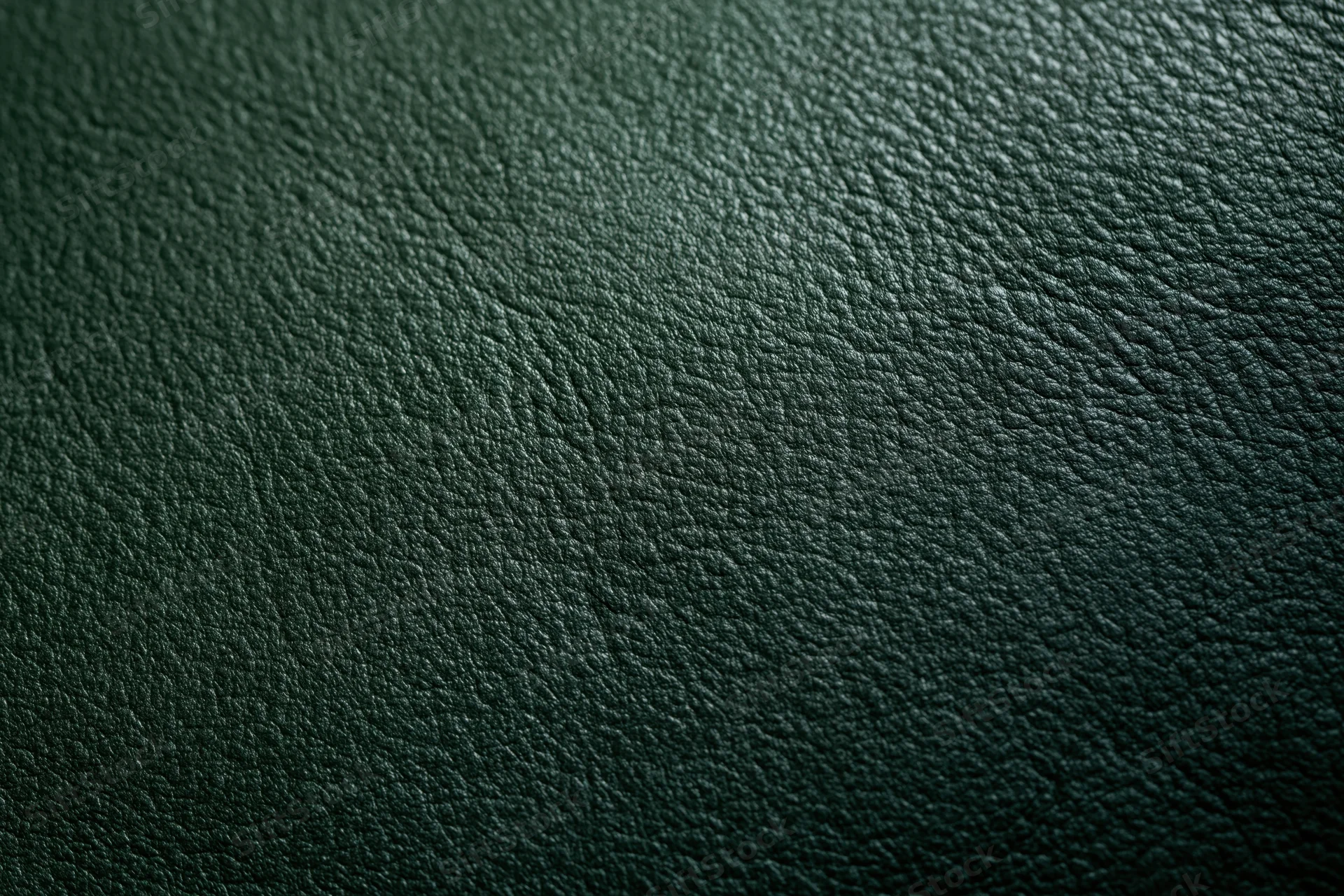 Close-up of dark green leather surface showing fine grain texture