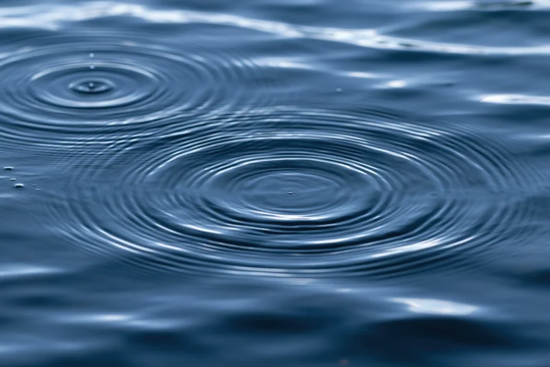 Close-up overhead view of water surface with concentric ripples from falling droplets