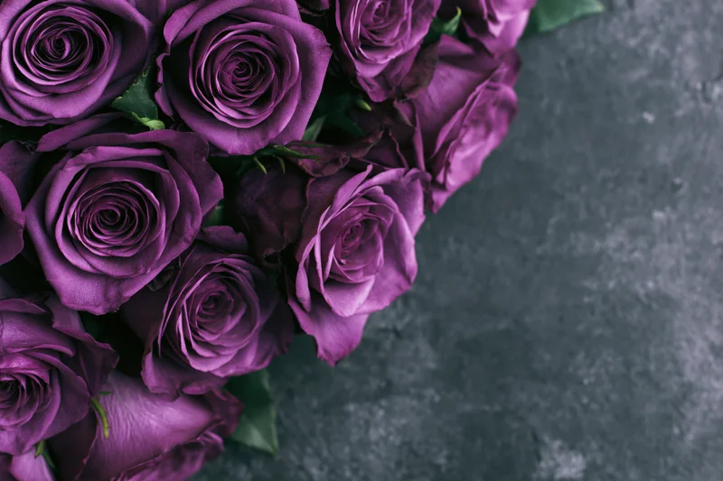 Cluster of deep purple roses arranged along the left edge of a dark textured surface