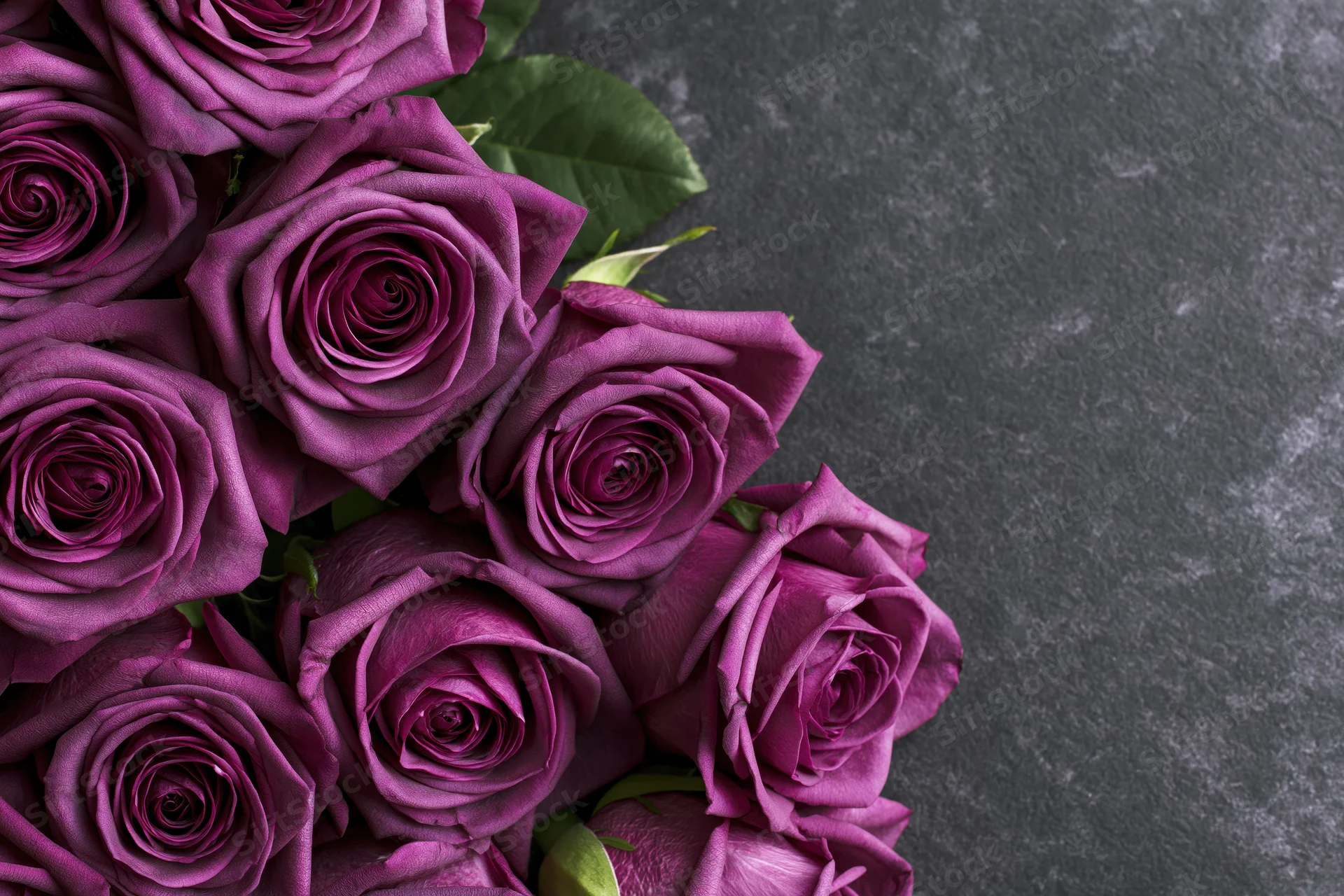 Cluster of deep purple roses arranged along the left edge of a dark gray textured surface