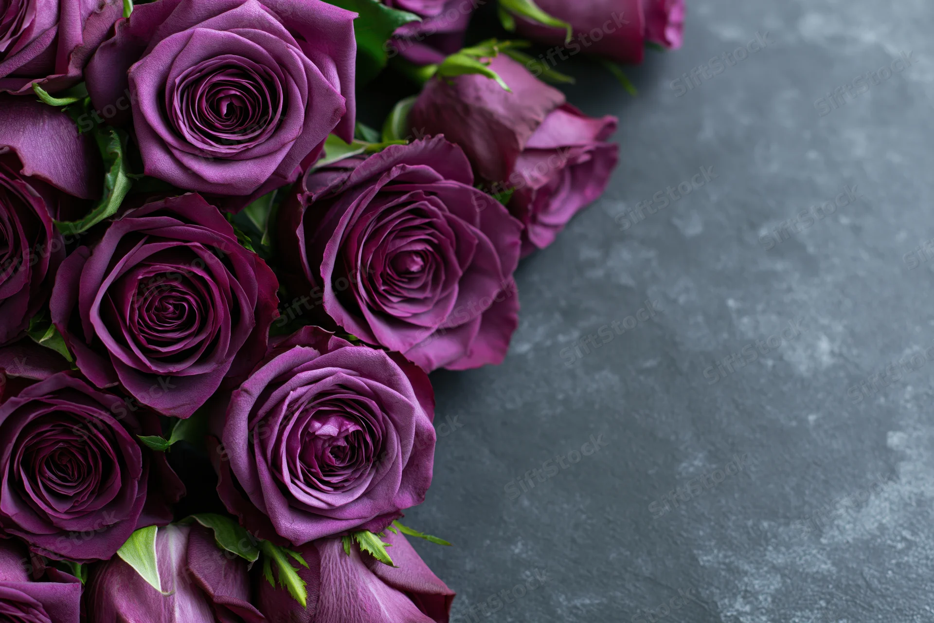 Cluster of deep purple roses arranged along the left edge of a gray textured surface