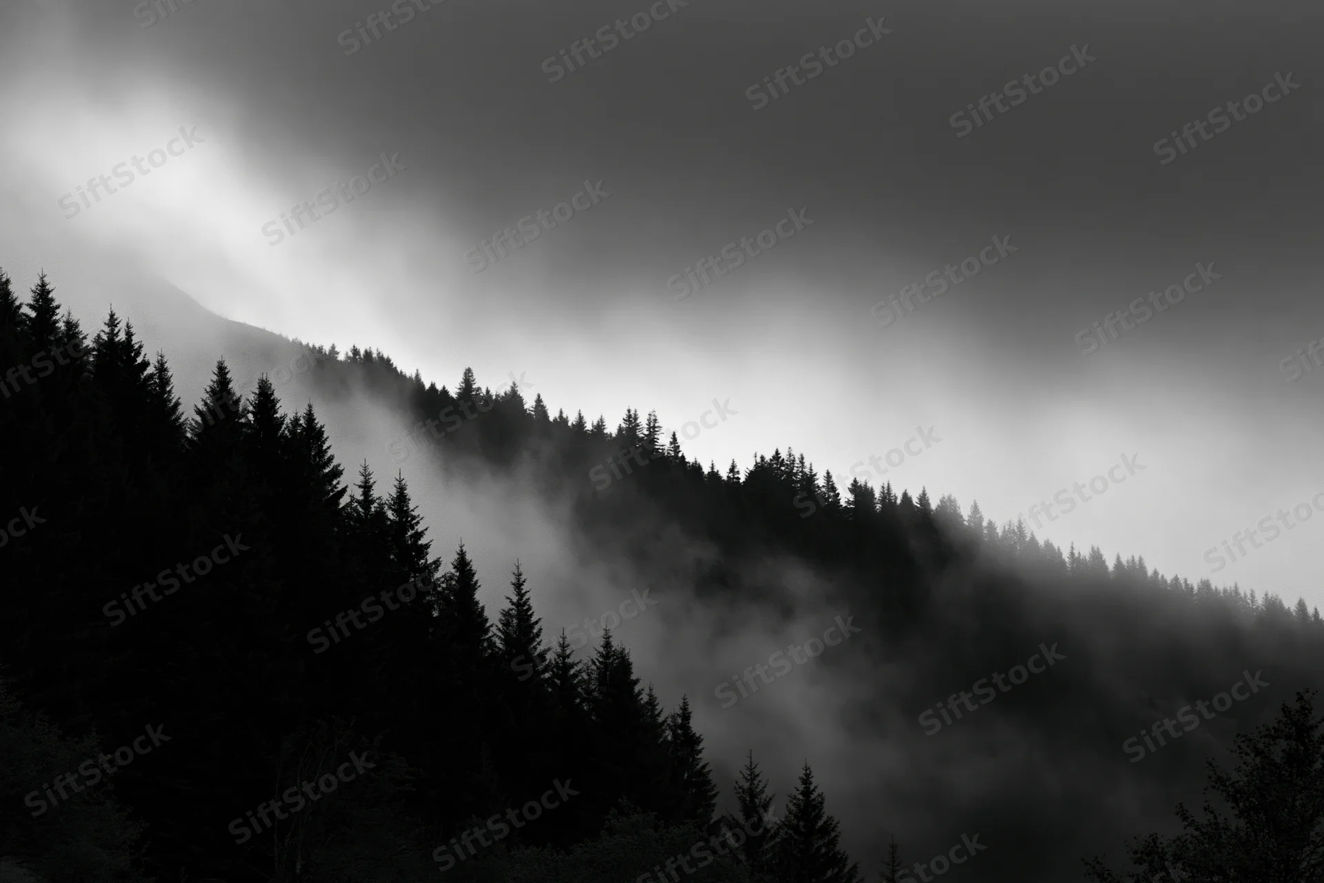 Dark conifer treeline silhouetted along a forested ridgeline in foggy mountain landscape
