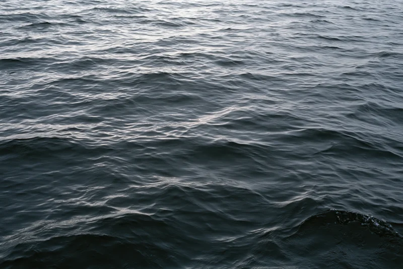Dark rippling water surface viewed from above filling the frame