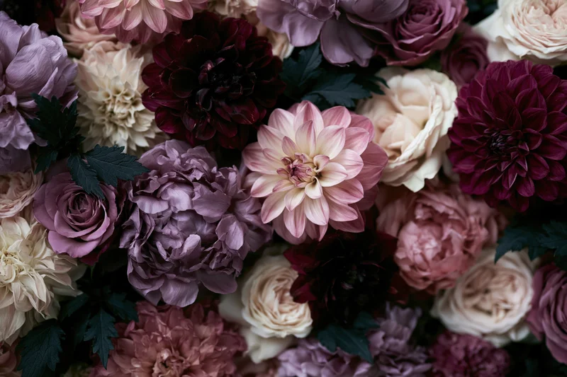 Dense floral arrangement of peonies, roses, and dahlias in shades of pink, purple, and cream