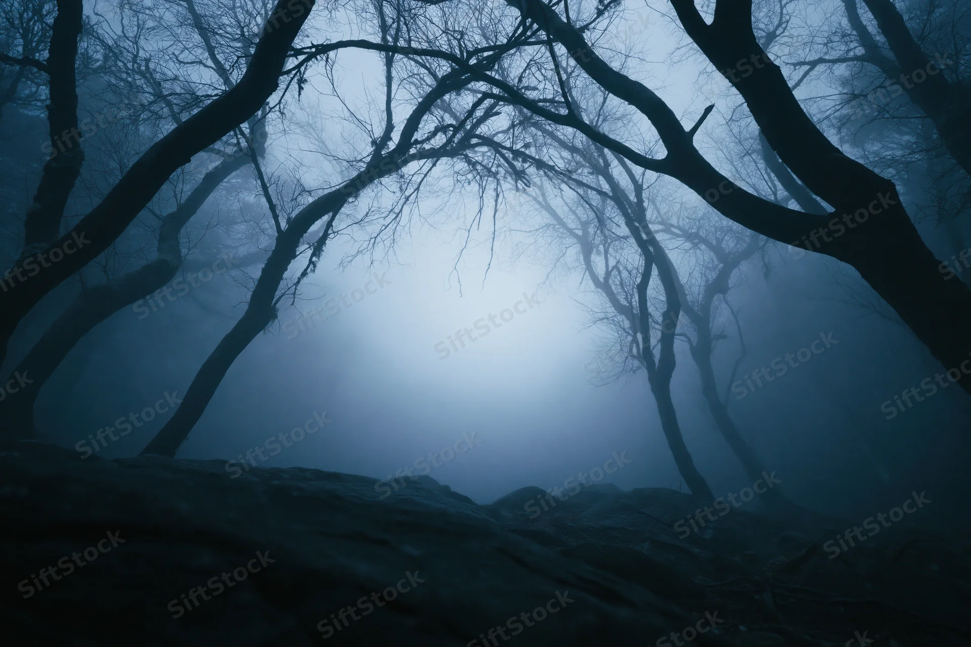 Bare trees silhouetted in dense fog at night in a dark forest