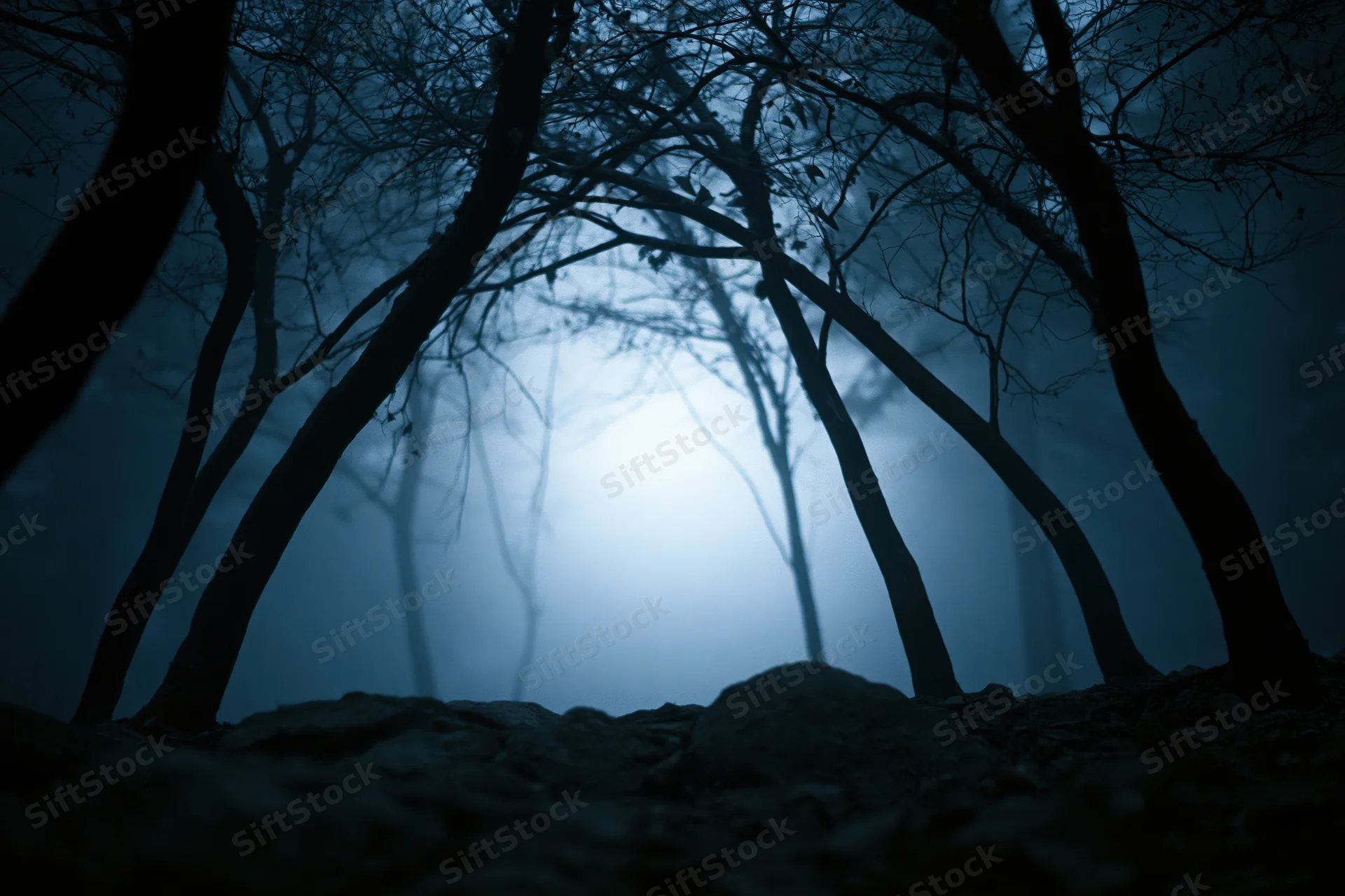 Low-angle view of bare trees in a foggy forest at night with moonlight filtering through the branches