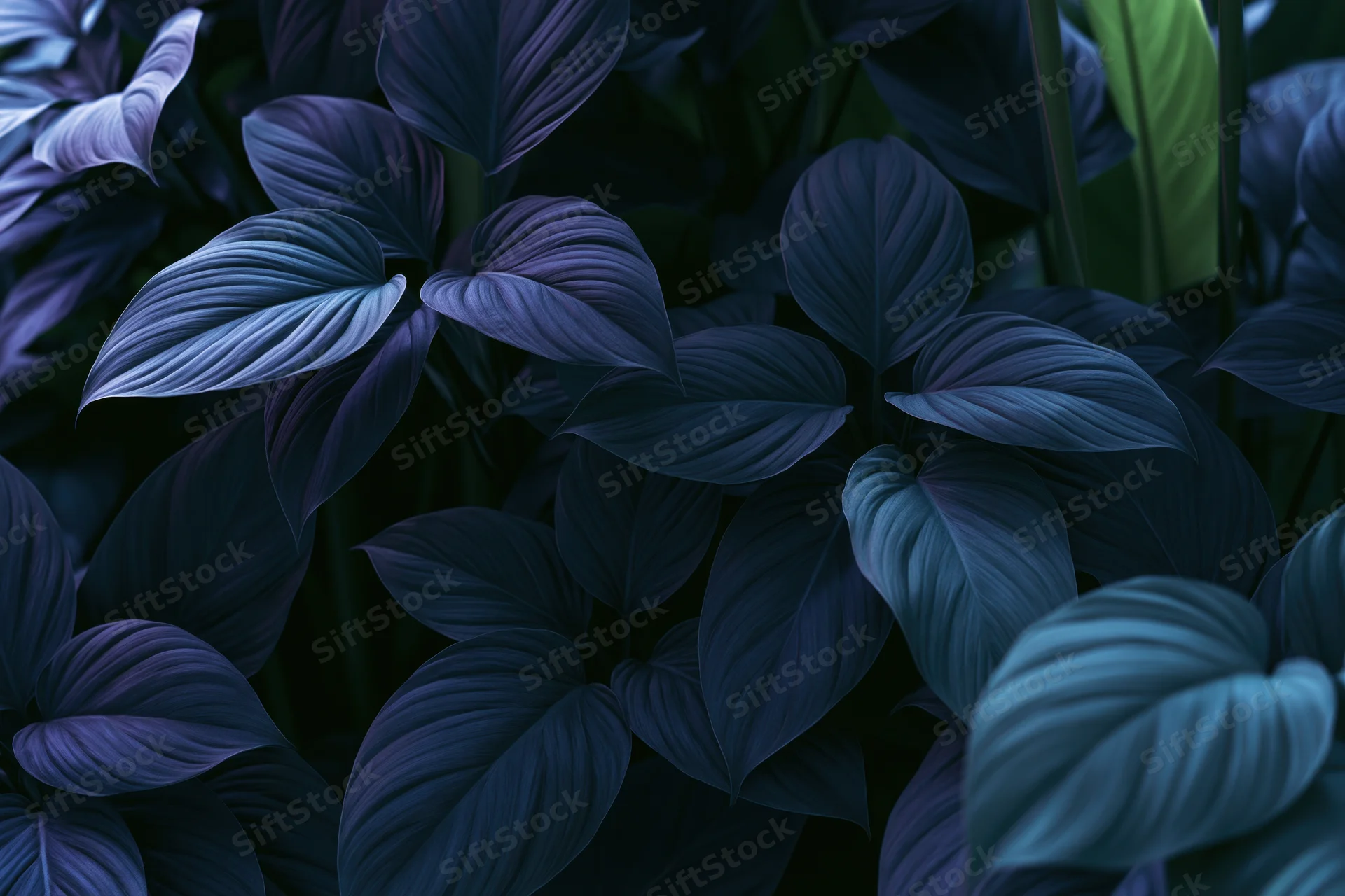 Dense tropical foliage with layered dark blue and purple leaves filling the frame