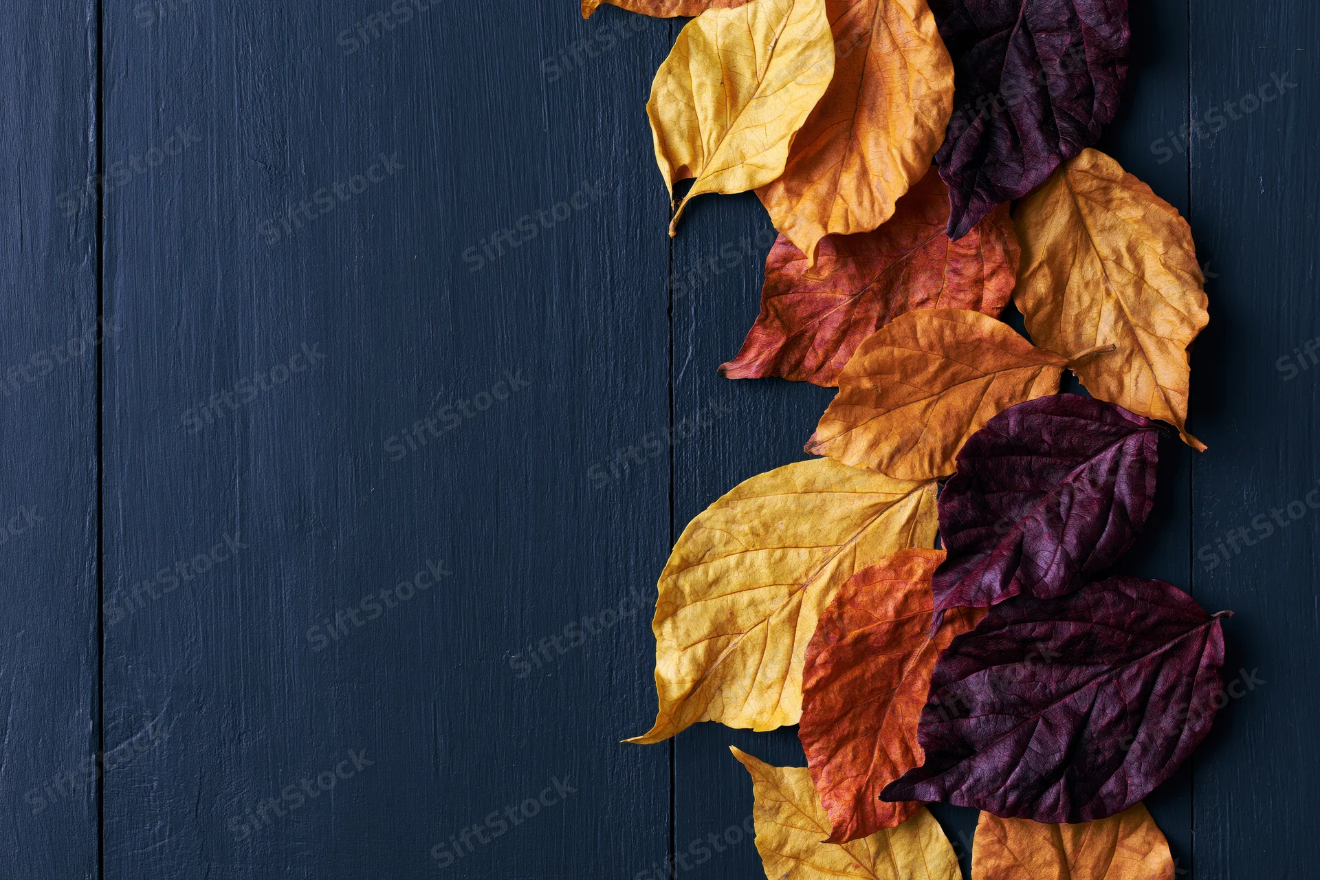 Dried autumn leaves arranged along the right edge of a dark blue wooden surface