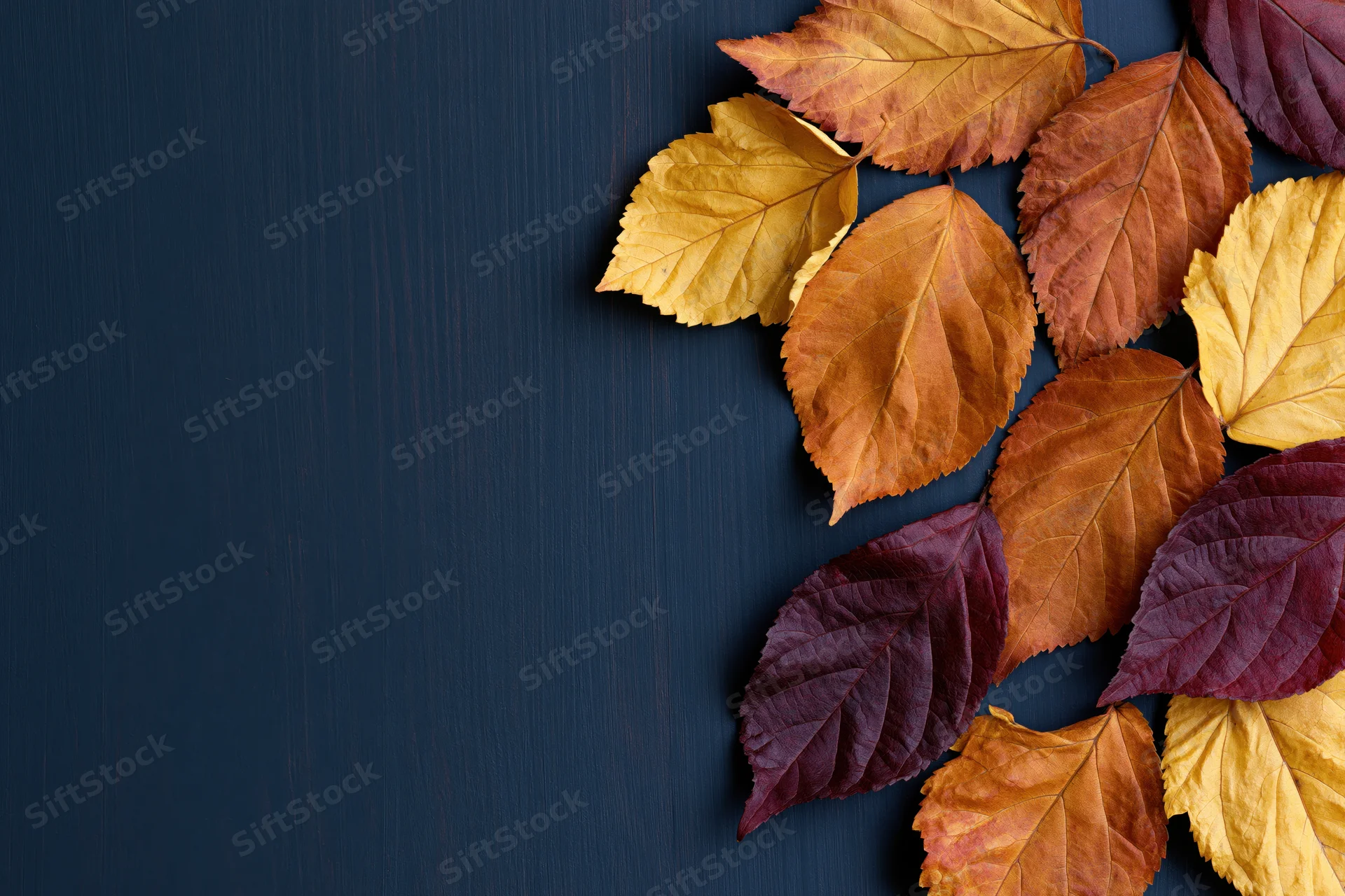 Dried autumn leaves arranged along the right edge of a dark wooden surface with copyspace on the left