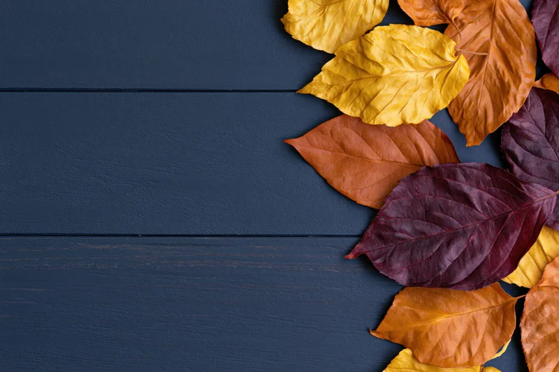 Dried autumn leaves arranged along the right edge of a dark blue wooden surface