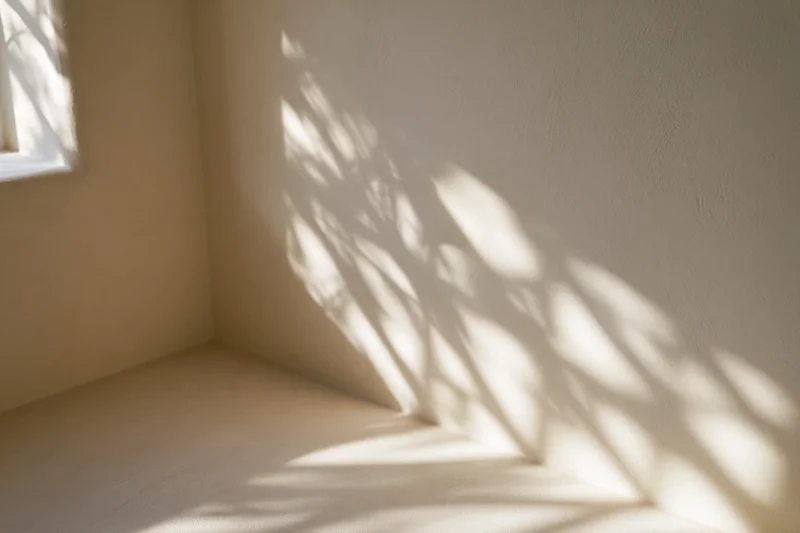 Sunlight casting tree shadows on a smooth wall and floor in a minimalist empty room corner