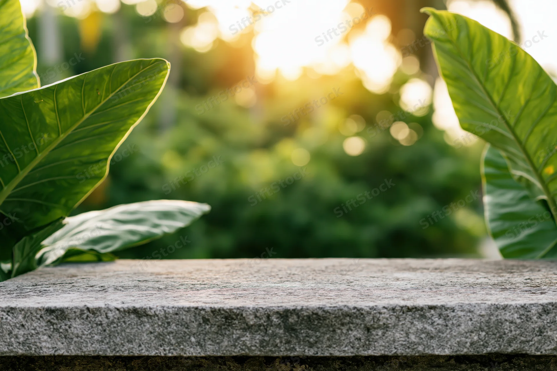Weathered stone slab surface in a garden flanked by green leaves with blurred foliage and sunset light in the background