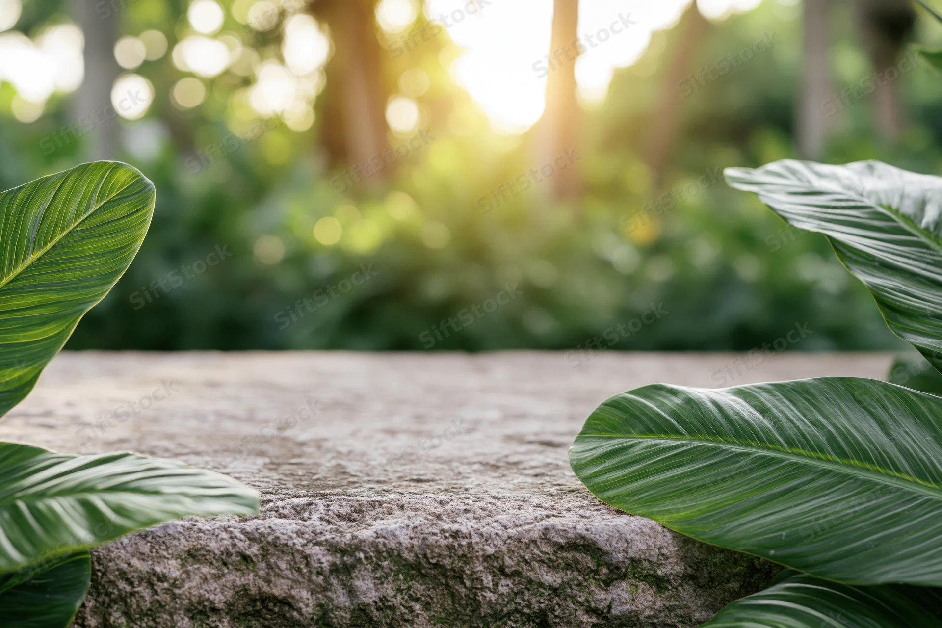 Weathered stone slab surface in a garden flanked by green tropical leaves with sunlight filtering through trees in the background