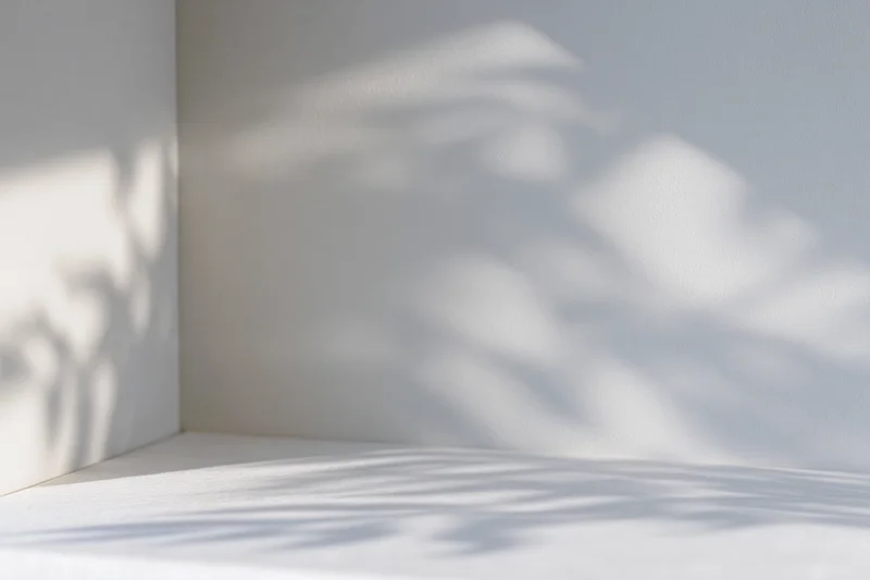 White interior corner with dappled shadows on wall and surface