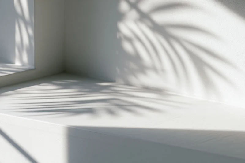Dappled sunlight casting leaf shadows on a white interior wall and surface near a window