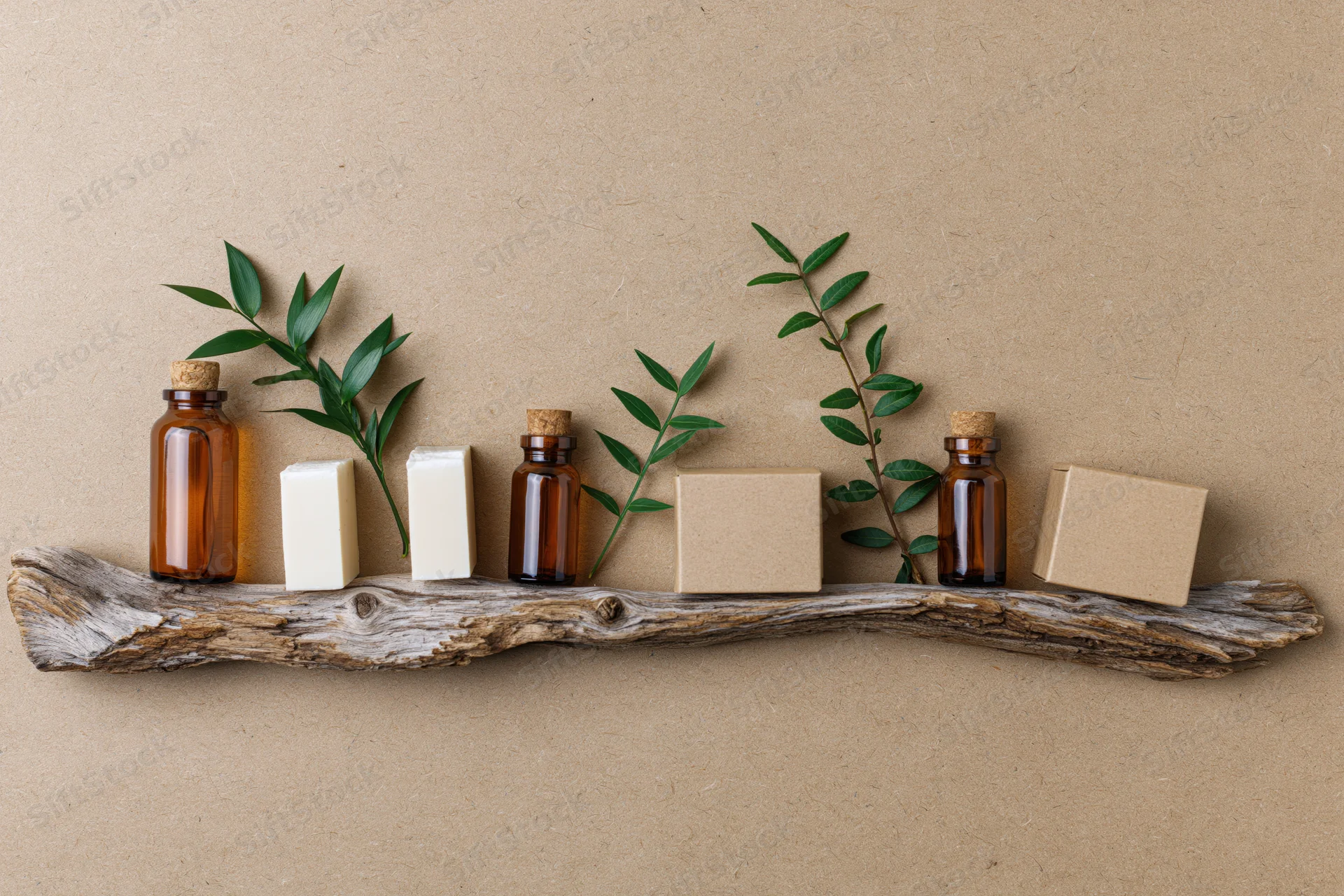 Natural skincare products arranged in a row on a driftwood shelf with green leaves and cardboard boxes