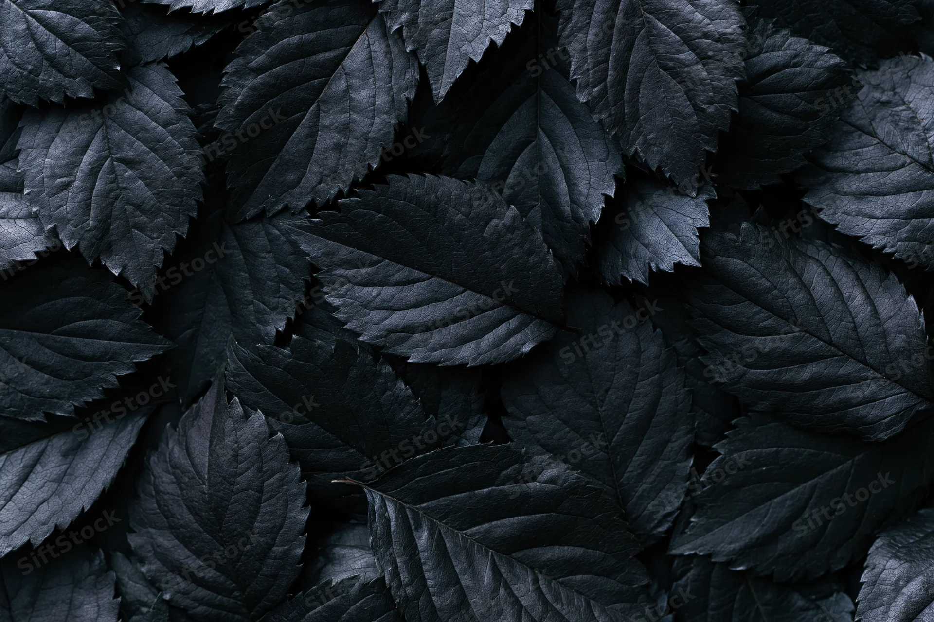 Dark leaves overlapping in a dense flat lay covering the entire frame