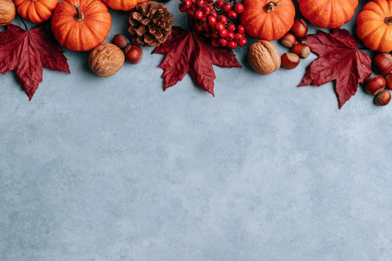 Autumnal arrangement of pumpkins, leaves, pinecones and nuts along the top of a gray textured surface