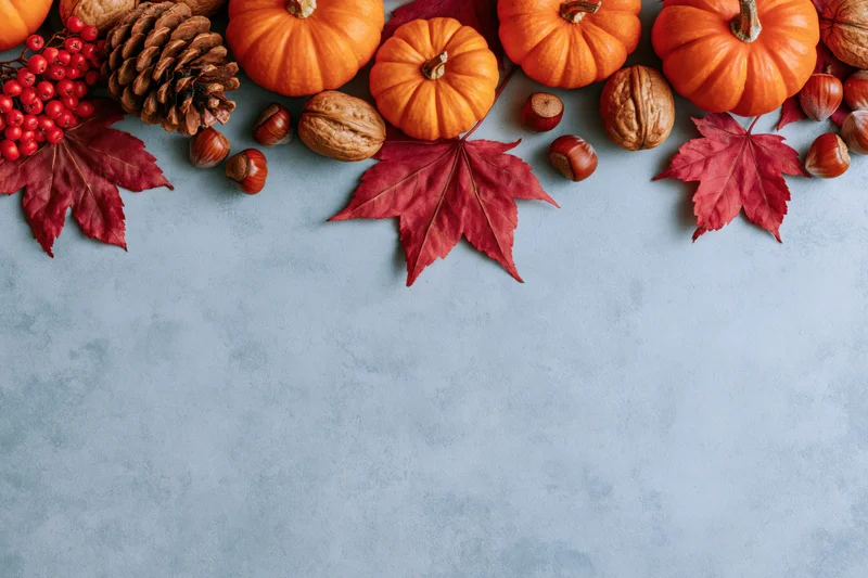 Small orange pumpkins and red maple leaves arranged in a row along the top of a gray surface with copyspace below