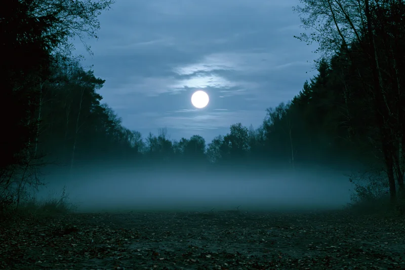 Full moon glowing over a foggy forest clearing at night