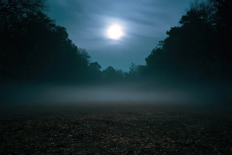 Full moon glowing over a foggy forest clearing at night