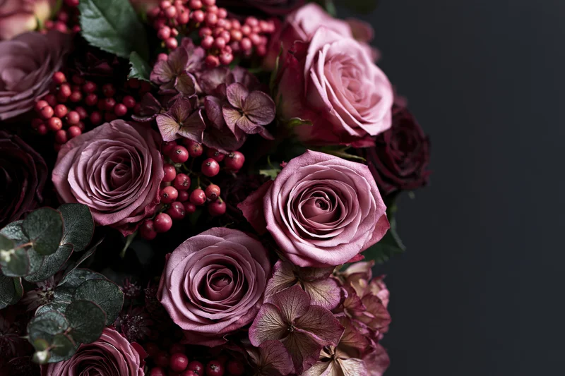 Lush bouquet of dusty pink roses and dried hydrangeas with red berries and eucalyptus leaves on dark background