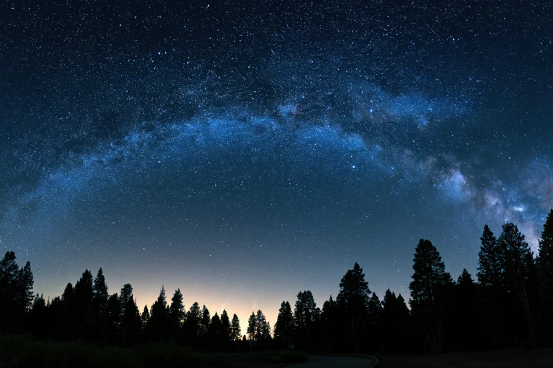 Milky way galaxy arching across star-filled night sky above forest silhouette