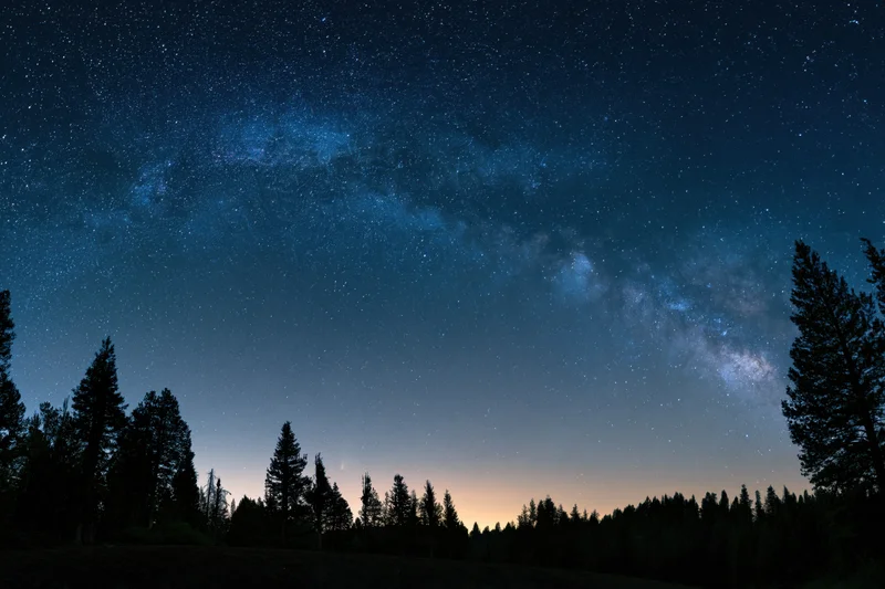 Milky way galaxy arching across star-filled night sky above forest silhouette