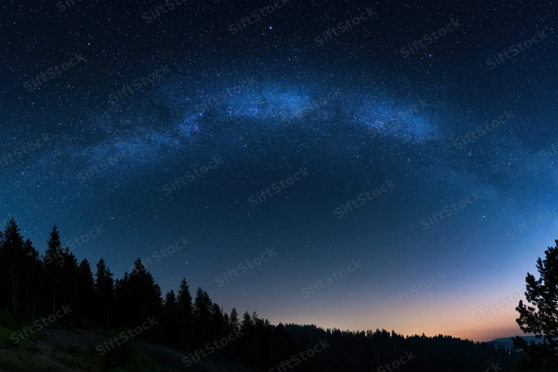 Milky way galaxy arching across star-filled night sky above forest silhouette