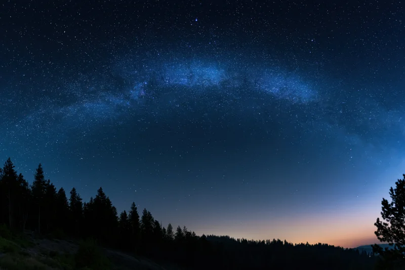 Milky way galaxy arching across star-filled night sky above forest silhouette