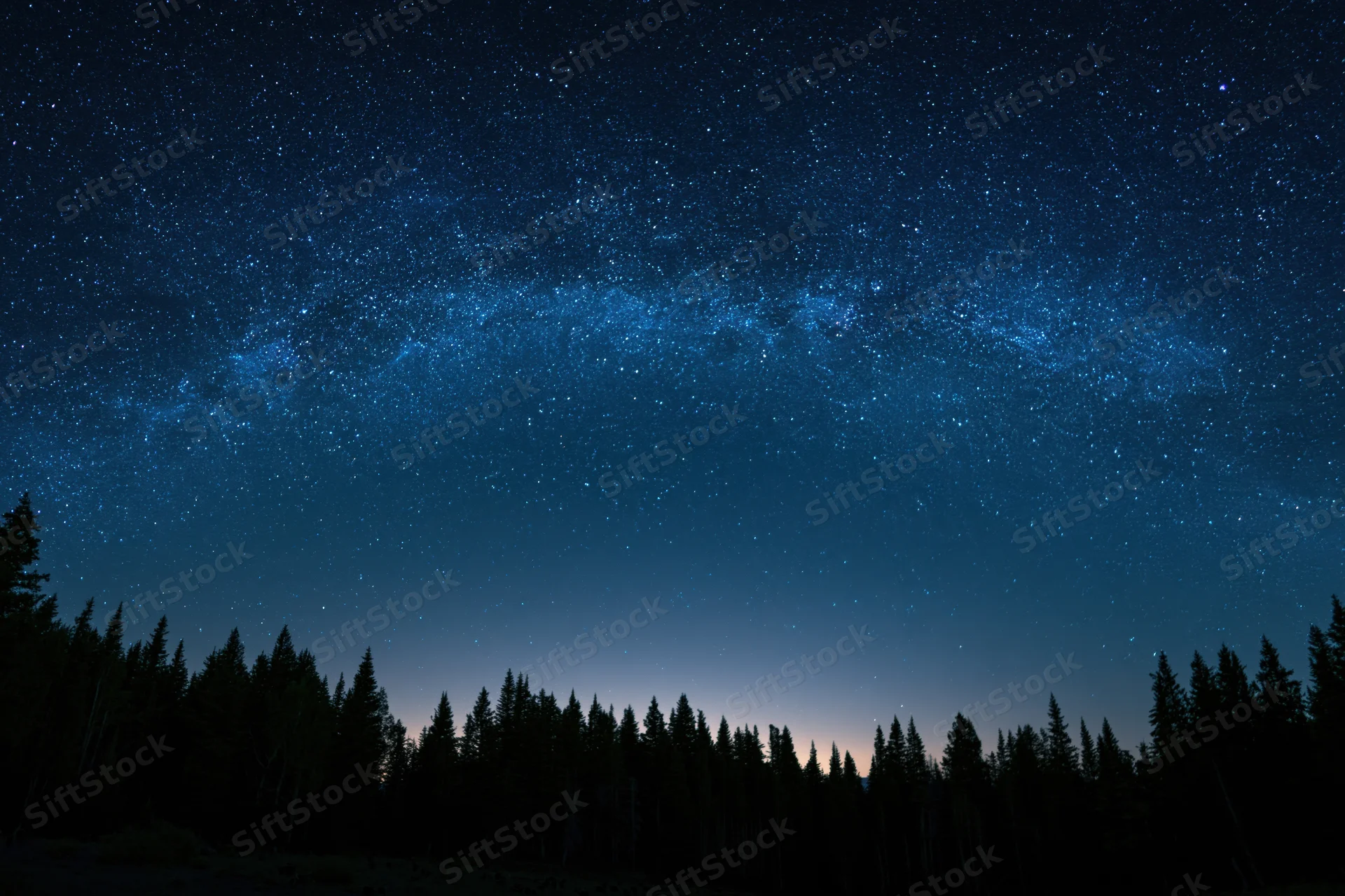 Milky way galaxy arching across star-filled night sky above forest silhouette